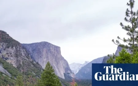 Trump Appoints Hospitality Executive to Head National Park Service