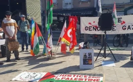 Mont-de-Marsan Hosts Rally in Support of Gaza