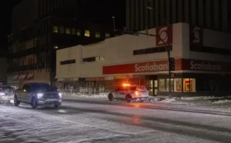 Jackfish Wildlife Blamed for Major Power Outage in YK