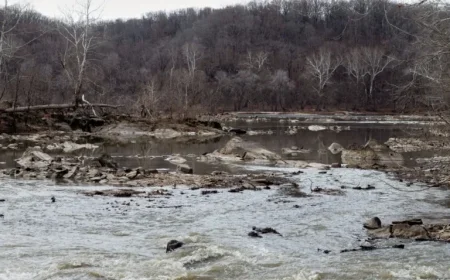 Ice Melt Triggers Massive Sewage Spill in Potomac River: Rising Health Risks