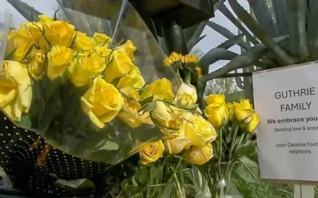 Nancy Guthrie Case Update: Unidentified DNA Found on Her Property