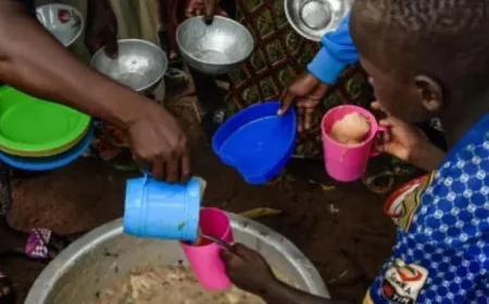 AI Enhances Policy Strategies to Combat Global Food Insecurity