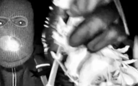 Investigators Probe Second Residence in Nancy Guthrie Kidnapping Case