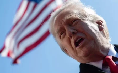 Overwhelmed by Donald Trump?