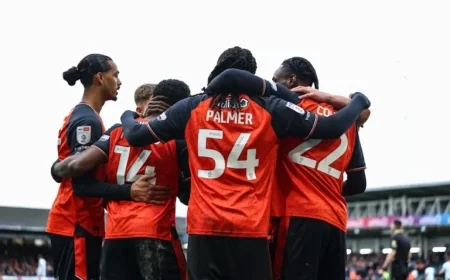 Romance Blooms as Love Fills the Air