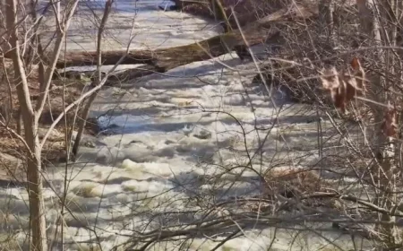 Sewage Remnants, Including Toilet Paper, Remain Post-Pipe Collapse