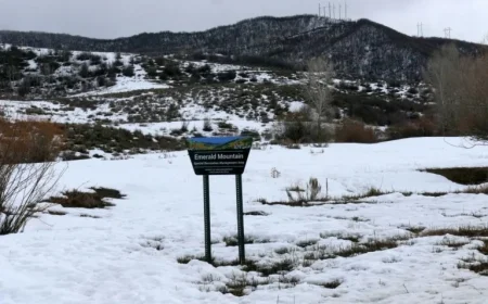 Colorado Plane Crash Claims Four Lives, Including Tennessee Businessmen