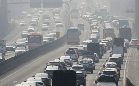 Warm Weather Continues: Second Day of Lunar New Year Reaches 19°C