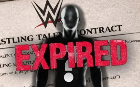 WWE Personality Transitions to Alumni Following Contract Expiration