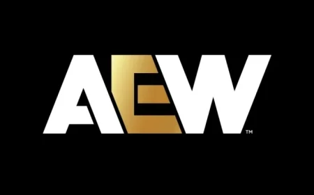 CNN Affirms WBD’s Ownership Stake in AEW