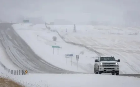 Alberta Braces for 10-20 cm of Snowfall This Week