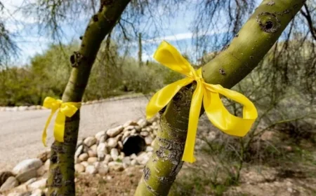 Savannah Guthrie Urges Action: ‘It’s Never Too Late,’ Live Updates Here