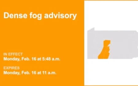 Dense Fog Advisory in Southern Pa.: Visibility Down to 1/4 Mile Until Midday