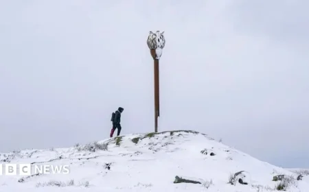 Aberdeen Enjoys Sun’s Return Amid New Weekend Snow and Ice Warnings