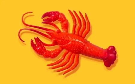 AI Experts Dispute OpenClaw Hype: Question Its Excitement Factor