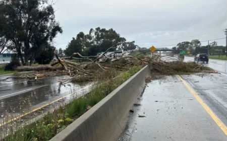 Highway 101 South Reopens at Fairview Avenue After Monday’s Tree Fall