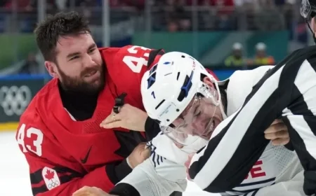 French Hockey Player’s Suspension Follows Clash with Tom Wilson