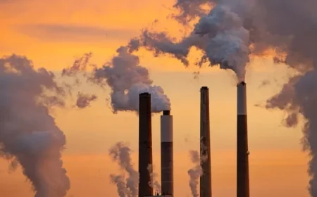 David Roberts Criticizes EPA for Fabricating Information