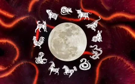 Discover Your Chinese Zodiac: What It Reveals About You This New Year