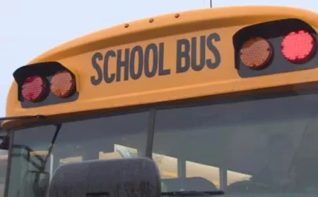 Dense Fog Halts Rural Bus Routes Tuesday Morning