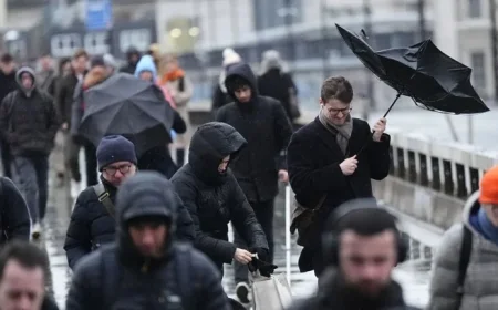 Unemployment Reaches Five-Year Peak | Money News