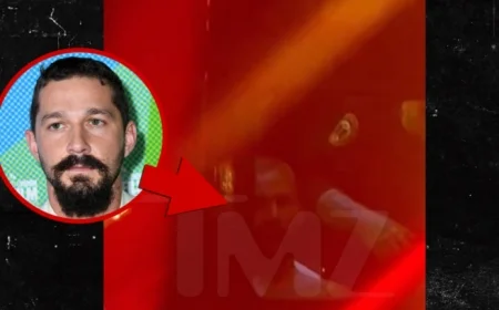 Shia LaBeouf Arrested at Mardi Gras, Seen in Ambulance Video