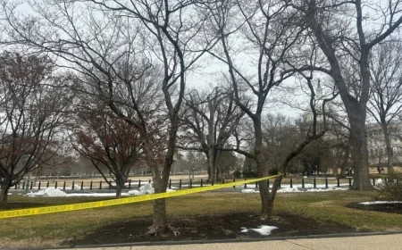 Teen Detained with Loaded Shotgun Near U.S. Capitol