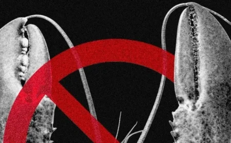 Meta and Tech Giants Restrict OpenClaw Over Security Concerns