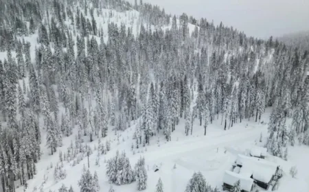 Rescue Teams Battle Harsh Weather to Find 10 Skiers in Sierra Avalanche