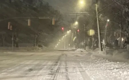 Snowstorm Shutters Schools and Businesses in St. John’s