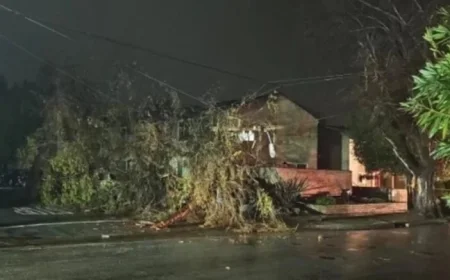 Central Coast Storm Topples Power Poles and Trees