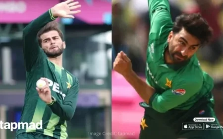 Amir Criticizes Pakistan for Choosing Shaheen Afridi Over Salman Mirza