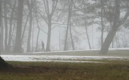 Guelph Students Develop Real-World Solutions for Saugeen Shores