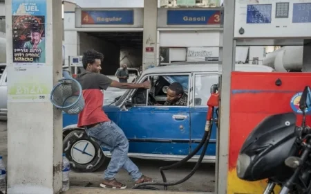 Ethiopia’s EV Surge Driven by Ban on Importing ICE Cars