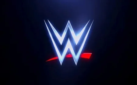 WWE Star Suffers Neck Injury Announcement