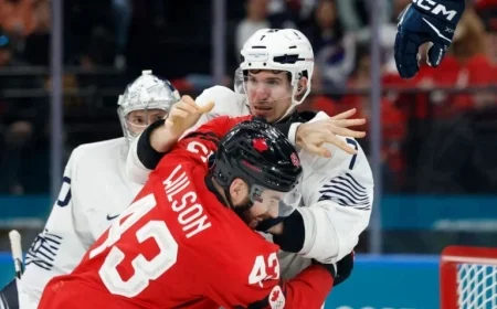 French Hockey Player Pierre Crinon Charged for Assaulting Goaltender
