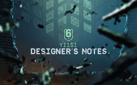 Y11S1 Designer’s Insights Revealed