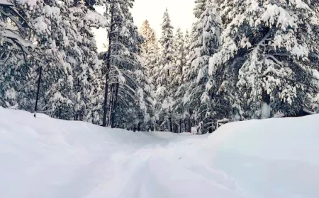 Avalanche in Northern California Claims 8 Skiers; 1 Still Missing