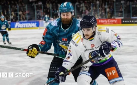 Flight Cancellation Delays Belfast Giants vs Coventry Blaze Challenge Cup Match