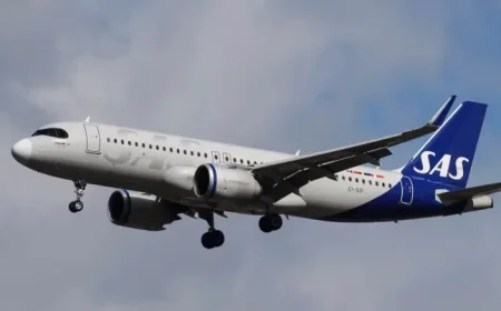 Passenger Plane Returns After Discovering Tiny Stowaway