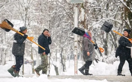 Heavy Snowfall Blankets Bucharest, Disrupting Transport Services