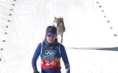 Stray Dog Finishes Olympic Skiing Event Race
