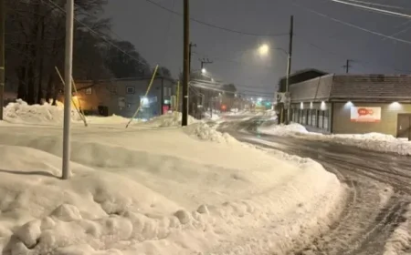 Metro Snowstorm Clean-Up Delays Commutes, Crews Work to Restore Order