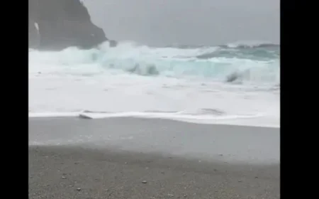 Heroic Couple Rescues Family During Perilous Beach Visit