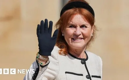 Sarah Ferguson’s Six Companies Face Dissolution