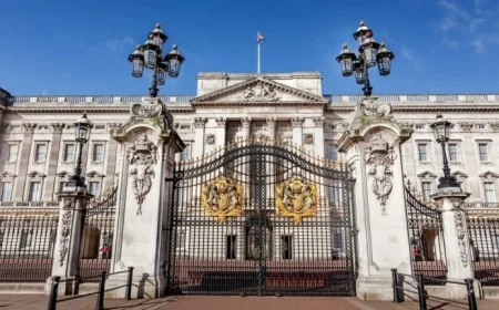 Understanding Misconduct in Public Office: Definition and Impact