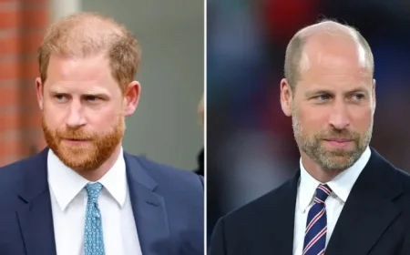 Prince Harry Engages Intermediary to Reconnect with Prince William
