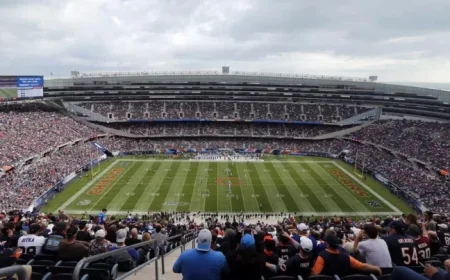 Indiana Unanimously Passes Bill to Attract Bears from Chicago