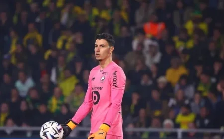 Lille vs Red Star Belgrade: Preview, Predictions, Team News, Lineups