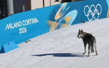 Dog Surprises Olympic Ski Race with Photo-Finish Sprint